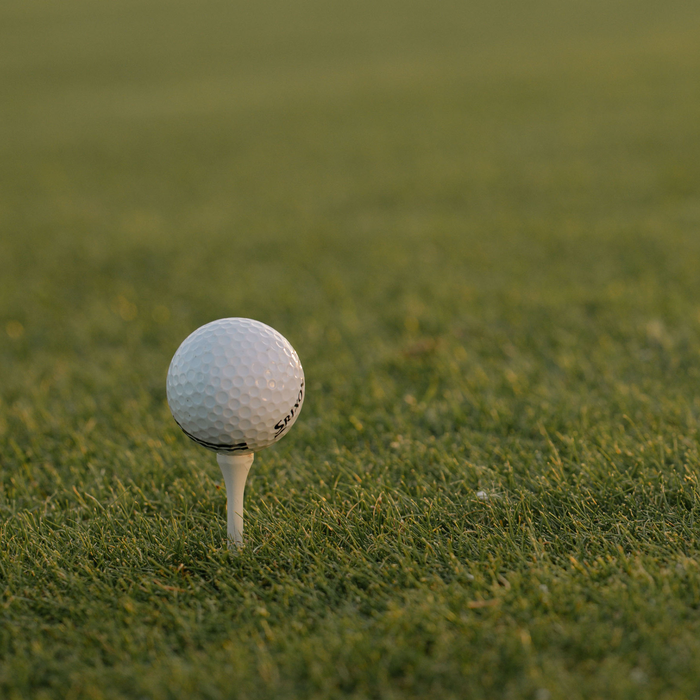 Golf Ball on a golf tee